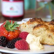 Fruit and scone