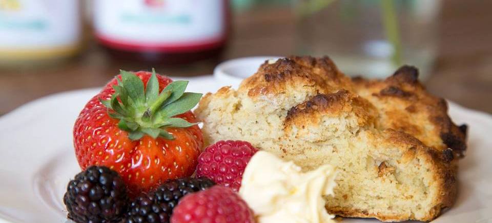Fruit and scone