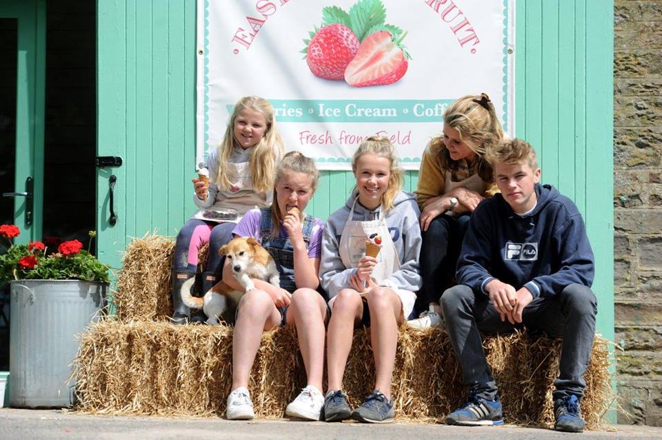 Delicious fruit ice creams at our farm shop.