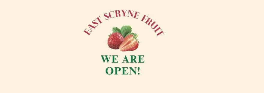 Blog Infographic to let people know that East Scryne Fruit Farm Tearoom is open for 2025
