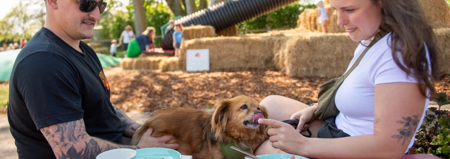 Parents can relax at East Scryne Fruit and enjoy their drinks and food whilst children safely play nearby. Photograph © The Courier, D C Thompson, 2025