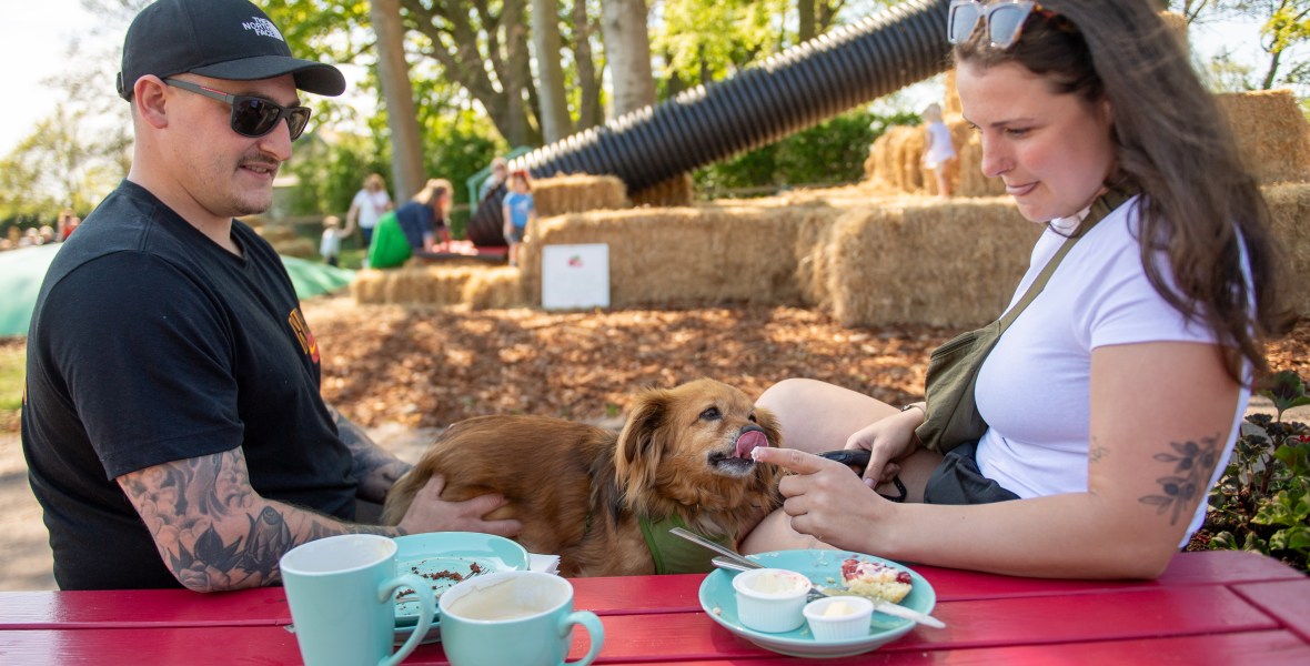 Parents can relax at East Scryne Fruit and enjoy their drinks and food whilst children safely play nearby. Photograph © The Courier, D C Thompson, 2025