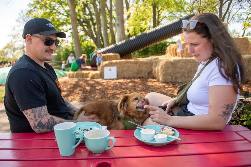 Parents can relax at East Scryne Fruit and enjoy their drinks and food whilst children safely play nearby.  Photograph © The Courier, D C Thompson, 2025