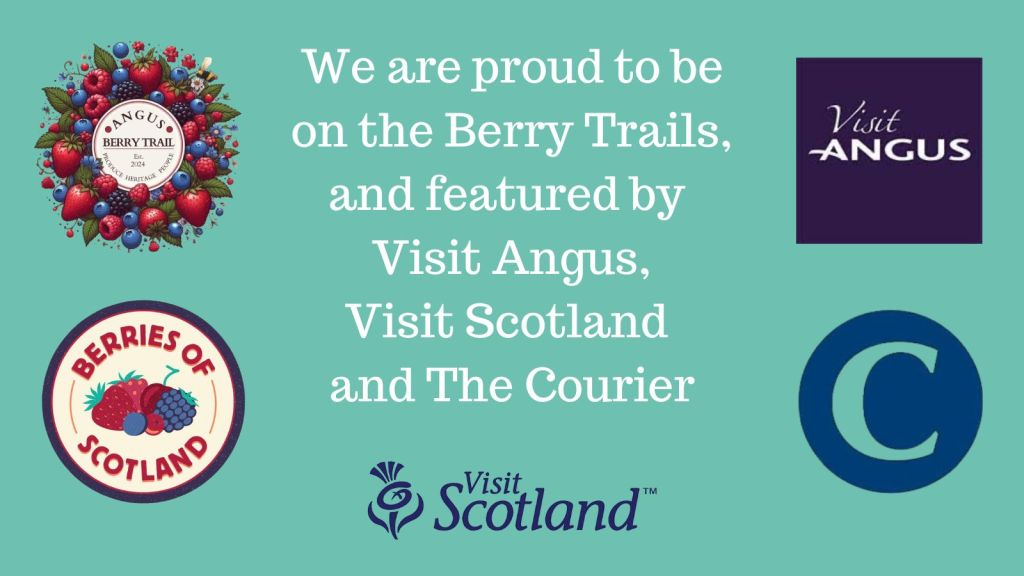 East Scryne Fruit is proud to be a part of the Angus Berry Trail, the 2025 Berries of Scotland initiative, and be recommended by Visit Angus and The Courier. This green infographic in Scryne Green displays all four logos and some brief, accompanying text.