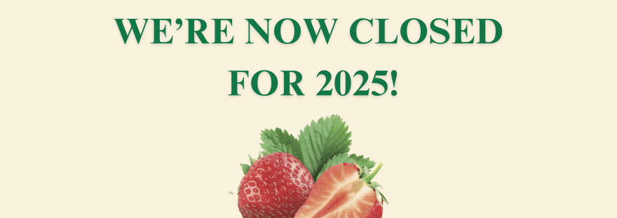 East Scryne Fruit Farm Shop and Tearoom is closed for 2025. See you in April 2026!