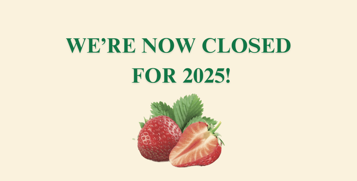 East Scryne Fruit Farm Shop and Tearoom is closed for 2025. See you in April 2026!